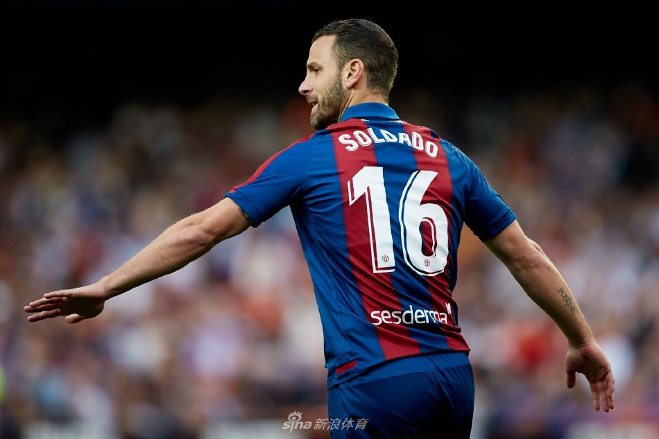 大的亮点无 大的亮点无